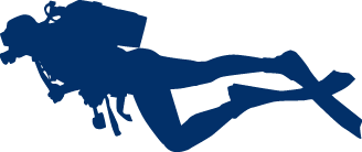 韦德体育官方网站