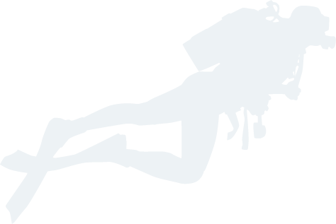 韦德体育官方网站