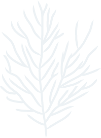 韦德体育官方网站