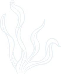 韦德体育官方网站